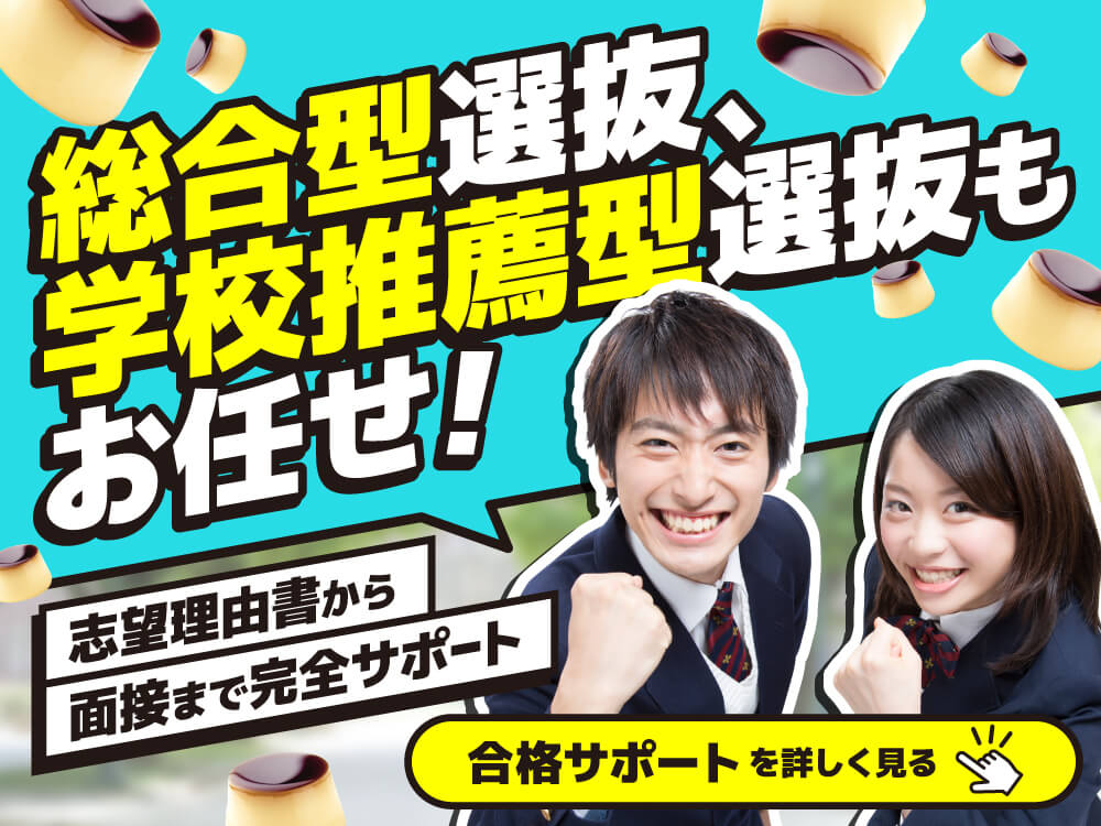 総合型選抜、学校推薦型選抜もお任せ